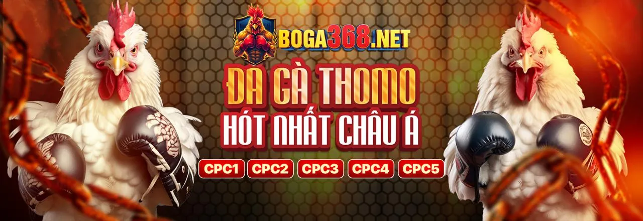 Hình ảnh minh họa cá cược có trách nhiệm